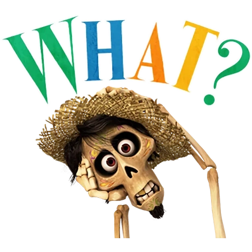 coco, the mystery of cocoa, coco hector turner, mystery of coco skull, the mystery of coco hector's face