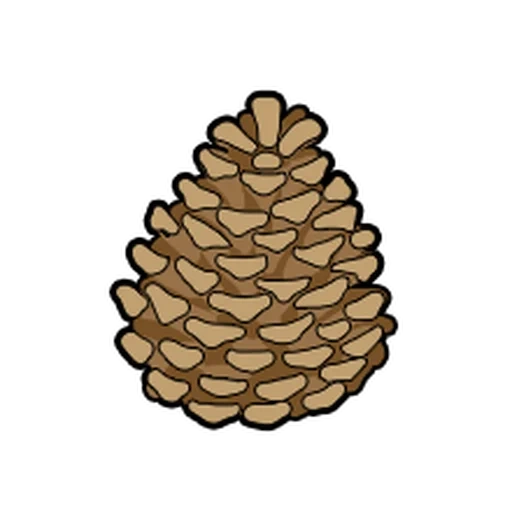 cones, bump of the raster, pine cones, cedar cones, pine cones