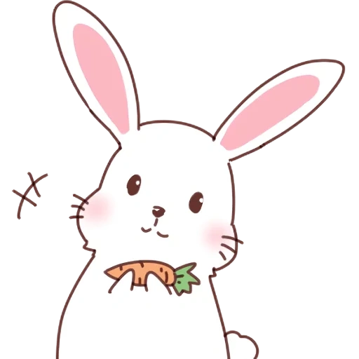 coniglio, rabbit-rabbit, bunny bunny, bel coniglietto, bella faccia di coniglietto