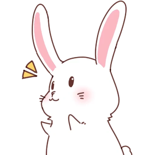coniglio, rabbit-rabbit, coniglio carino, coniglio bianco, bunny bunny