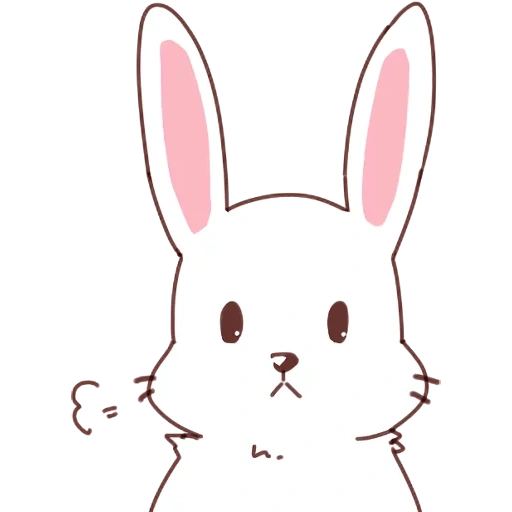 bunny, rabbit, rabbit, rabbit of the face, rabbit drawing