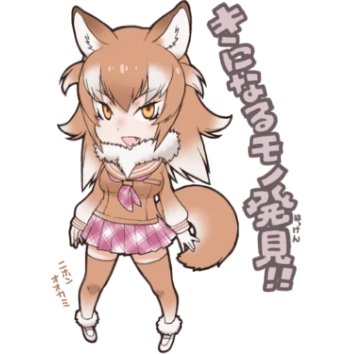 kemono friends, kemono friends dhole, kemono friends karakal, wolf kemono friends anime, japanese wolf kemono friends