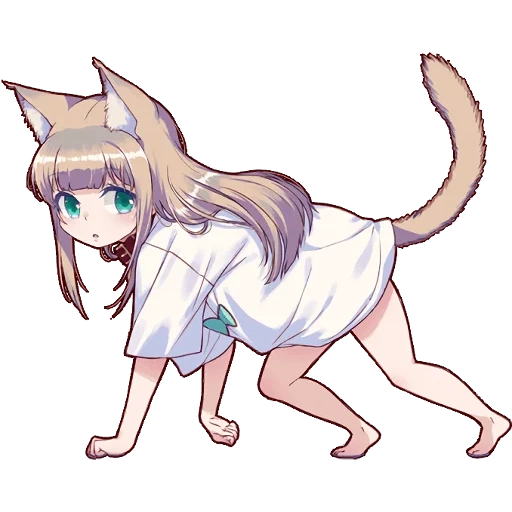 neko, kinako neko, kinako no es, osakana neko, kinako nekakana golpeó la cola de las orejas