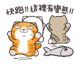 cat, cat, smelly cat, chinese cats