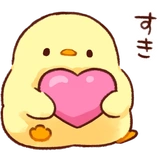Soft and cute chick (love)
