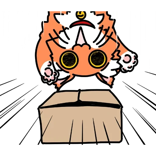 orange, red cat, fard à joues pour chats