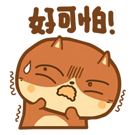 cat, joke, kavai cat, kawaii cats