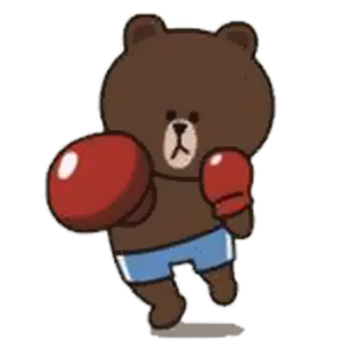 bear, the bear is cute, sally bear, bear boxer, brown cone bear
