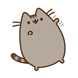 pusheen