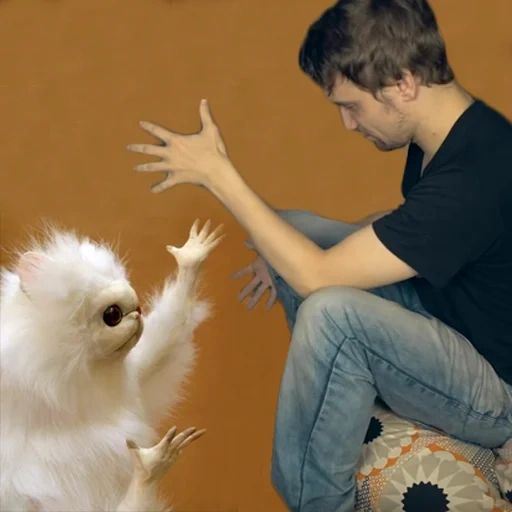 cat, white animal meme, white animal meme, christina valenskaya, white fluffy animal
