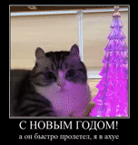 gatti, il gatto è un albero di natale, buon anno, cat, felice anno nuovo gatto