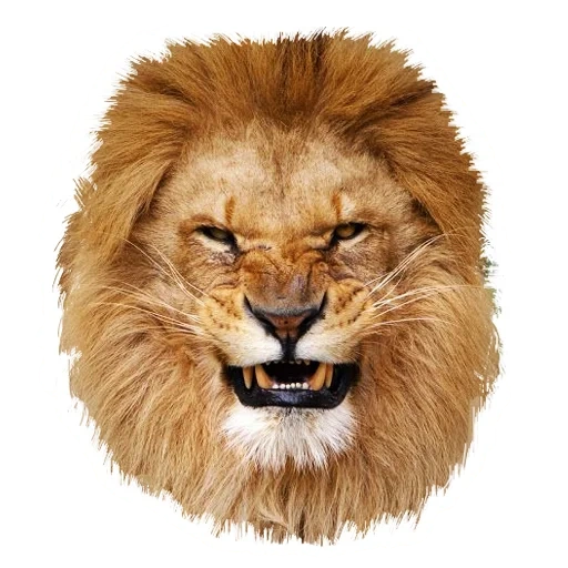 lion, lion, the angry lion, the lion smiled