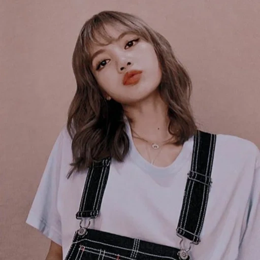 pó preto, lisa blackpink, rizha em pó preto, estética de lalisa manoban, estética de pó preto de raposa