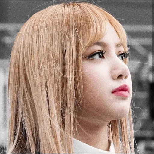 asiático, pink preto, fox blackpink, lisa blackpink, lalisa manoban