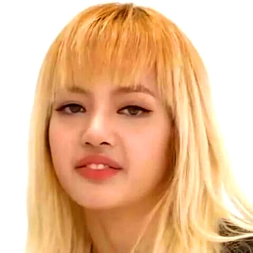 polvere nera, lalisa monoban, blackpink memes, lalisa manoban mema, negoziazione importante del meme della polvere nera