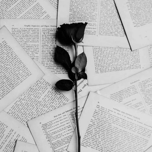 life, poetry, aesthetics, publication, the flowers of the book