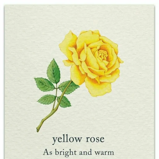 mawar kuning, mawar kuning, mawar kuning adalah benteng, mawar kuning terisolasi, mawar semak kuning
