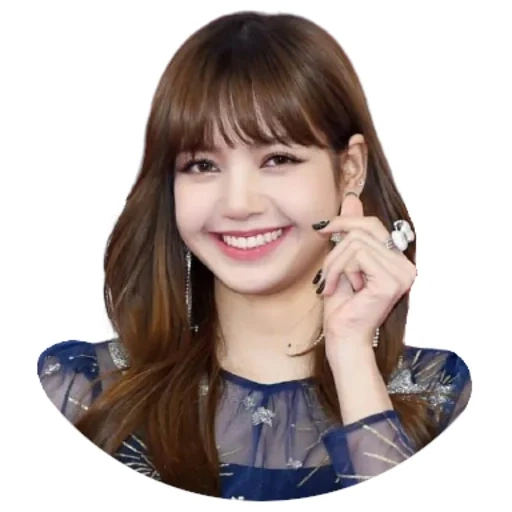 desconhecido, pó preto de raposa, lisa blackpink, tapete vermelho de lalisa manoban