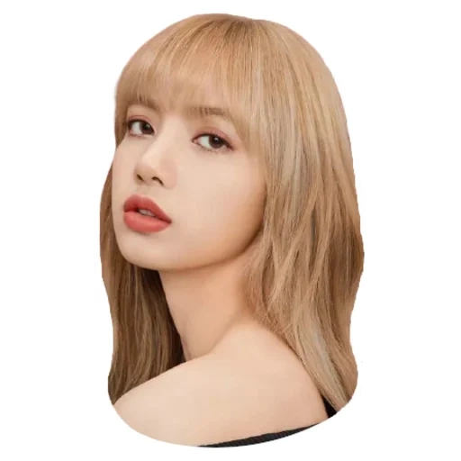 blackpink, lalisa manoban, blackpink lisa, fox blackpink