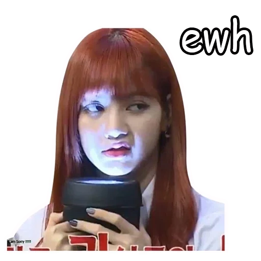 asian, black pink, lisa blackpink, fox mem blackpink, fox black pink memes