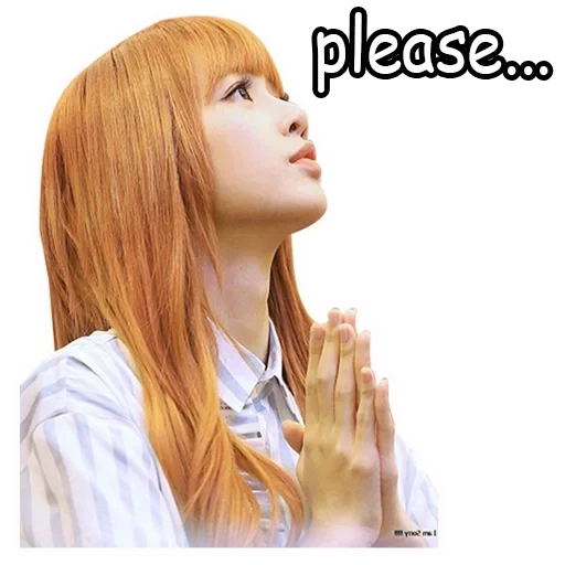 asian, lisa blackpink, lalisa manoban dear, fox manoban with a white background, lalisa manoban with a white background