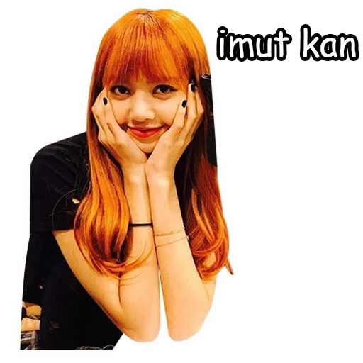 volpe blackpink, lisa blackpink, fox meme nero polvere, fox blackpink bam bam, la lisa manoban su sfondo bianco