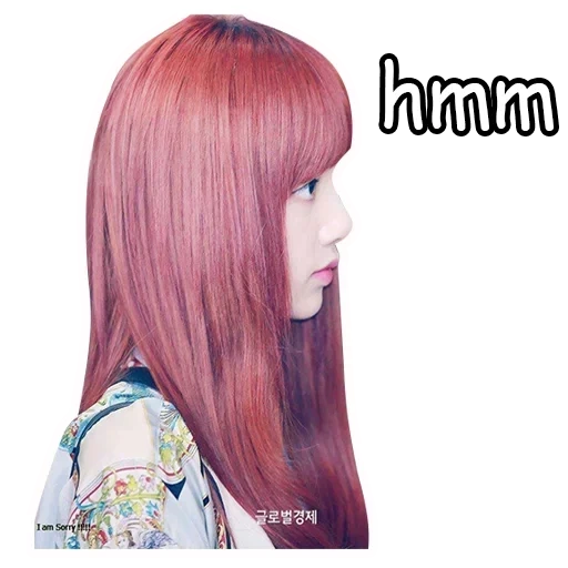 die haarperücke, mahagon-farbhaar, koreanische haare, die farbe der haare färben, lisa blackpink nicht machen bis