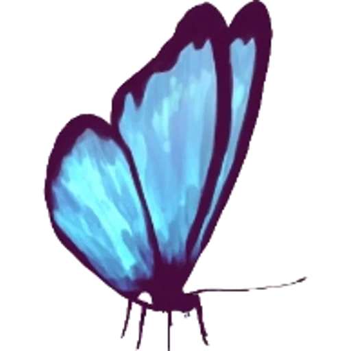 la farfalla, la farfalla blu, life is strange, la farfalla blu, butterfly life is strange