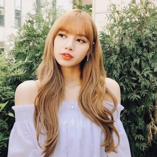 jovem, pink preto, lalisa manoban, blackpink fox, lisa blackpink