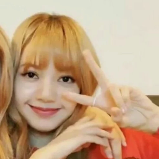 la ragazza, le persone, polvere nera, volpe in polvere nera, lisa blackpink