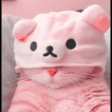 ָ֢ ˖貓:𝐌𝐈𝐎𝐖𓄹᮫ֺ໋ 🌸:𝟎𝟎 @lIstrawberryIl