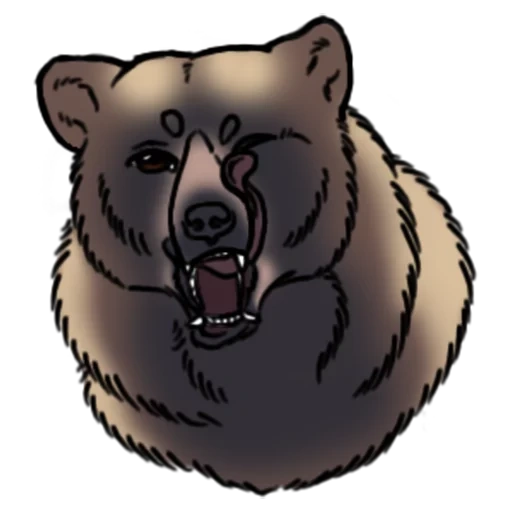 bear, the bear is roaring, bear face, grizzly bear, brown bear dnd