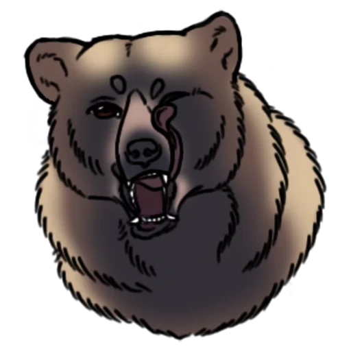 der bär, der bär knurrt, the bear face, the grizzly, braunbär dnd