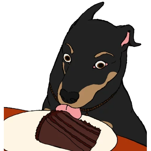 doberman, rosko doberman, klaus doberman, cachorro doberman, doberman pincher