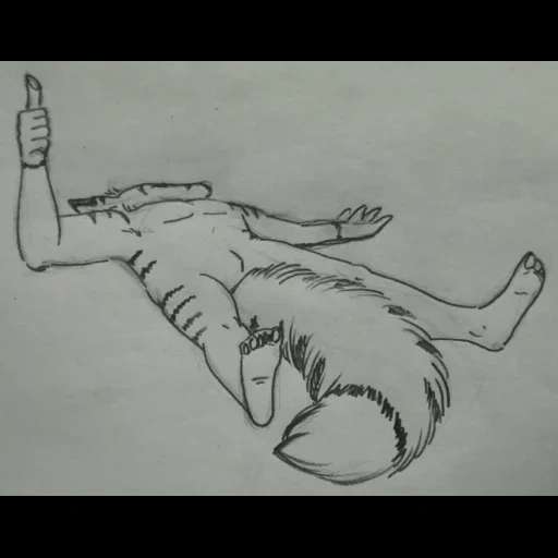 gli schizzi, sketch del lupo, lupo dipinto ululato, schizzo di guerriero gatto, wolf matite sketch facile