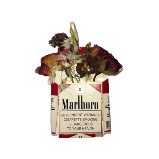 пачка сигарет, сигареты marlboro red, мальборо новая пачка 2022, сигареты мальборо красные, дробленая малина медовый дом