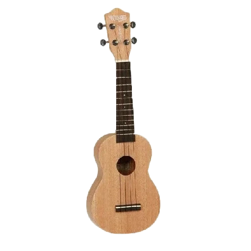 укулеле, укулеле сопрано, маленькая гитара, укулеле концерт lanikai oa-c, гитара hohner export quality