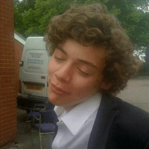 гарри стайлс, one direction 1, fetus harry styles, гарри стайлс тимоти шаламе, harry styles without make up