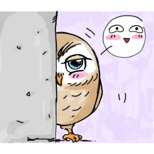 owl, meme, owl, owl, chouette mignonne