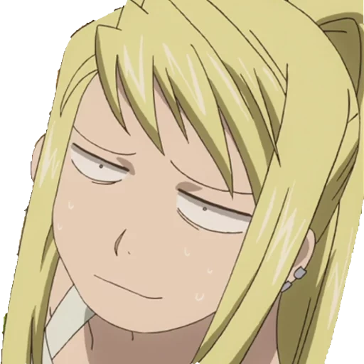 personaggi anime, alchimista fullmetal, alchemist vinri in acciaio, winry alchimista in acciaio, personaggi di alchimisti in acciaio