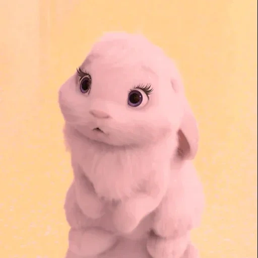 rabbit, little rabbit, toys, you get my angela clip, small live pet rabbit