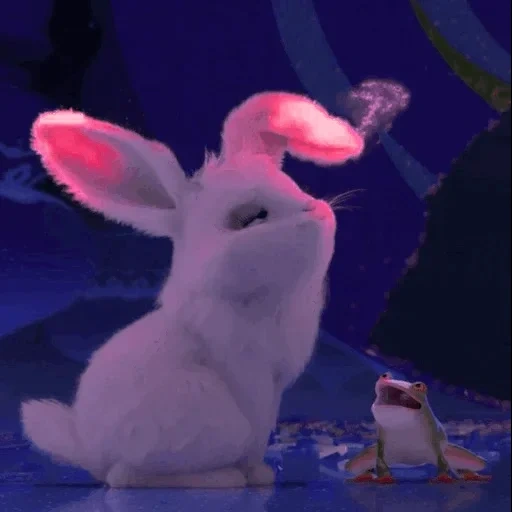 petit lapin, lapin, lapin blanc, boule de neige de lapin, la vie secrète du lapin animal de compagnie boule de neige