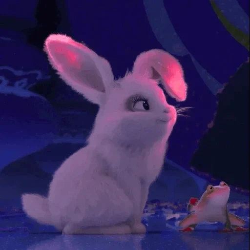 rabbit, rabbit snowball, cartoon rabbit, livestock rabbit, the secret life of pet rabbit snowball