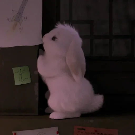 meng conejo, conejo rosa, conejo de juguete, conejo de felpa, juguete conejito peludo blanco