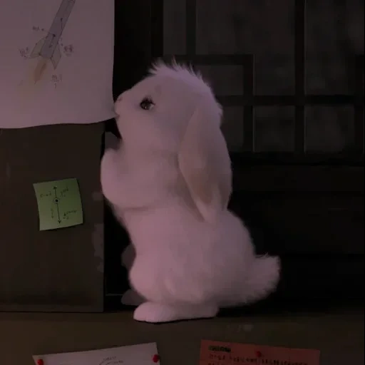 lapin mignon, lapin rose, lapin jouet, lapin en peluche, jouet lapin poilu blanc