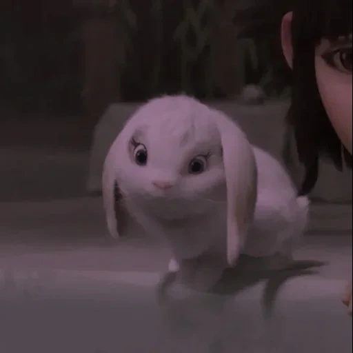cat, animals are cute, rabbit snowball cry, how to train your dragon homecoming, the secret life of pet rabbit snowball