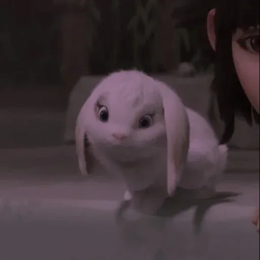 cats, les animaux sont mignons, lapin boule de neige pleure, how to train your dragon homecoming, la vie secrète du lapin animal de compagnie boule de neige