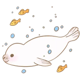 Little white seal