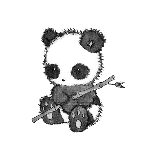 panda zeichnung, panda ist eine süße zeichnung, panda zeichnungen sind süß, süße panda skizzen, süße pandochki skizzen