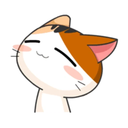 anjing laut, anak kucing, meong meong anime, meow animated